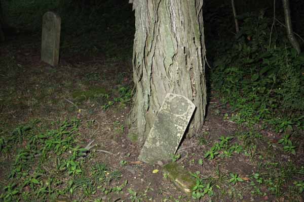 Here is one of the lonliest graves in the entire place.  I think the grave most likely is older then the tree that stands there now.