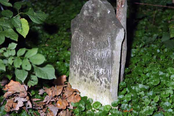 And here is a very lonly and old grave.  I can't swear to it, but I think the death date is before the outbreak of the Civil War.