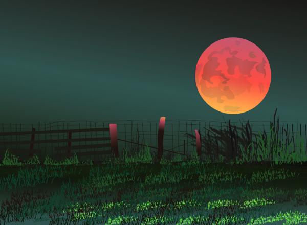 harvest-moon-amy-williams.jpg