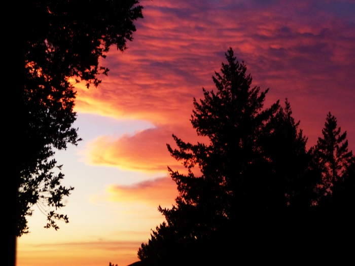 Alien Sunset.JPG