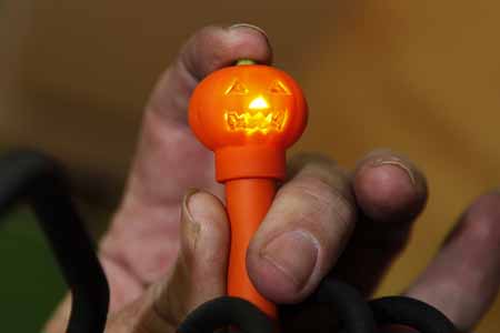 This is quite neat, and come October, I am going to have a lot of fun with this thing, annoying all my co workers. The photo doesn't do it justice as I couldn't recore the kakling that it does, but at least you can see it light up.