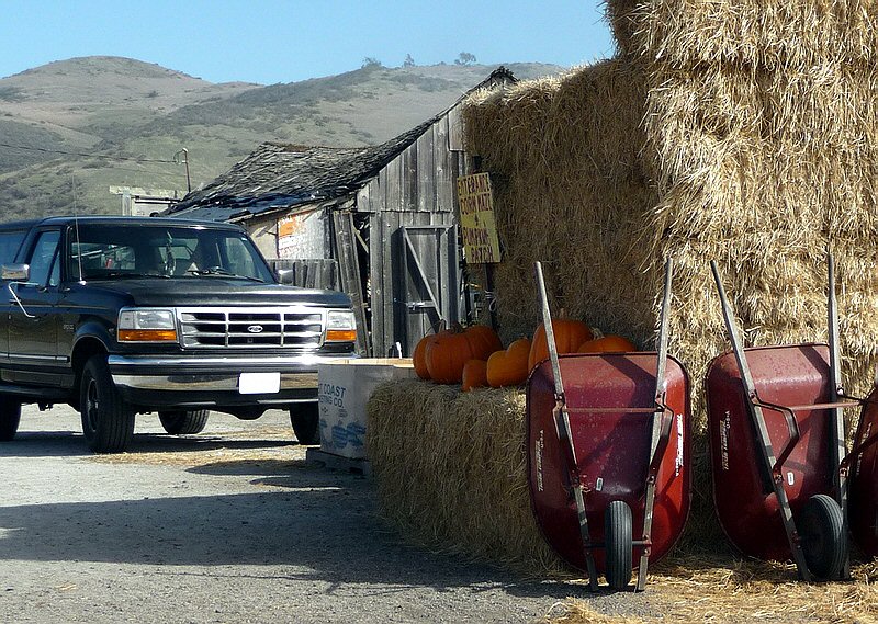 Pumpkin Farm 2009.JPG