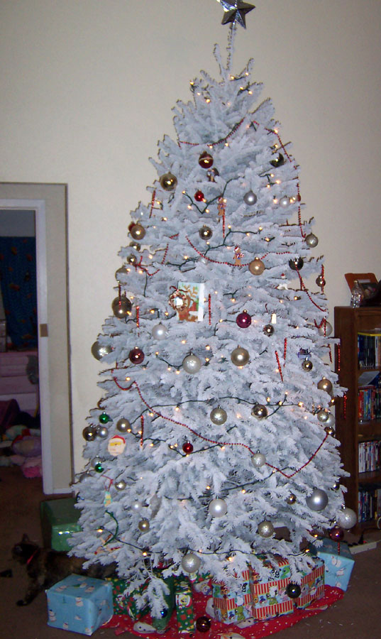 Tree.jpg